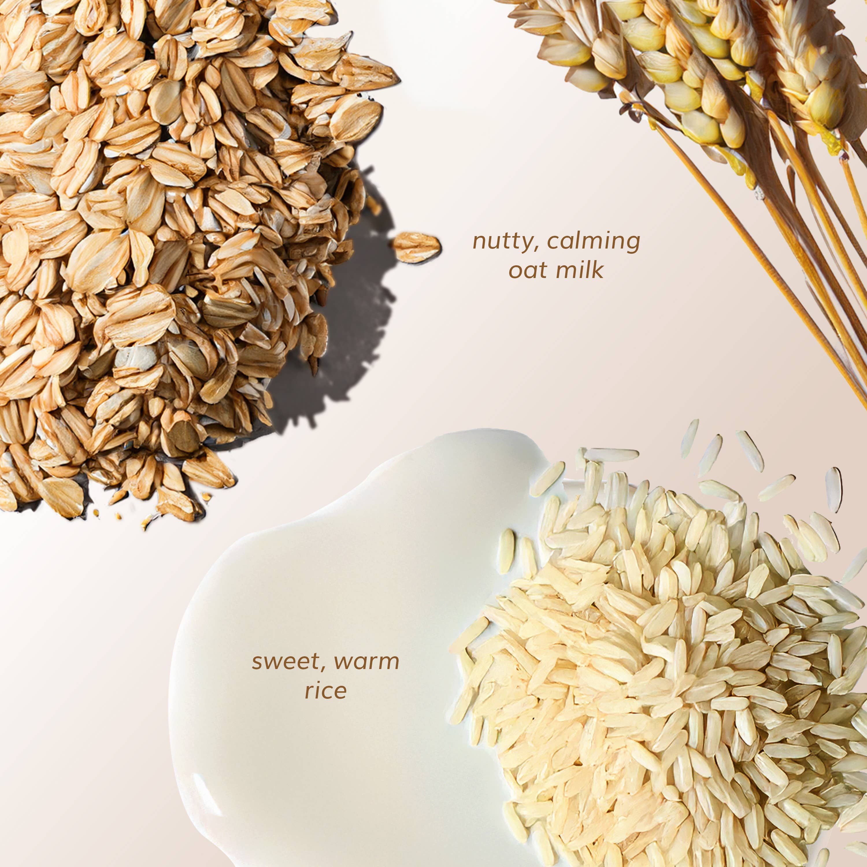 Abyssian - Wholesale Hair Serum - Dream Bonds Bio Emulsion6