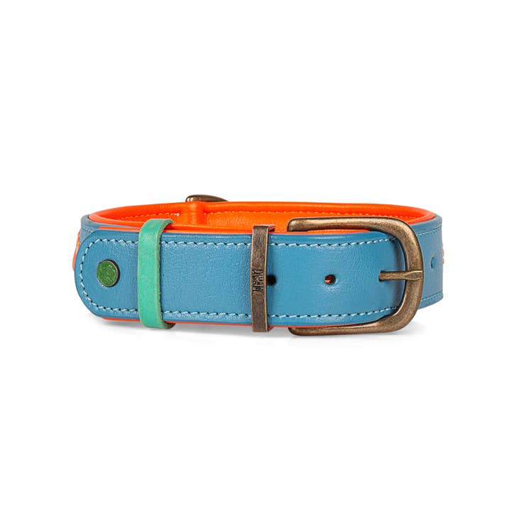 Dog with a Mission - Wholesale Pet Collar - Dog - Jones Collar