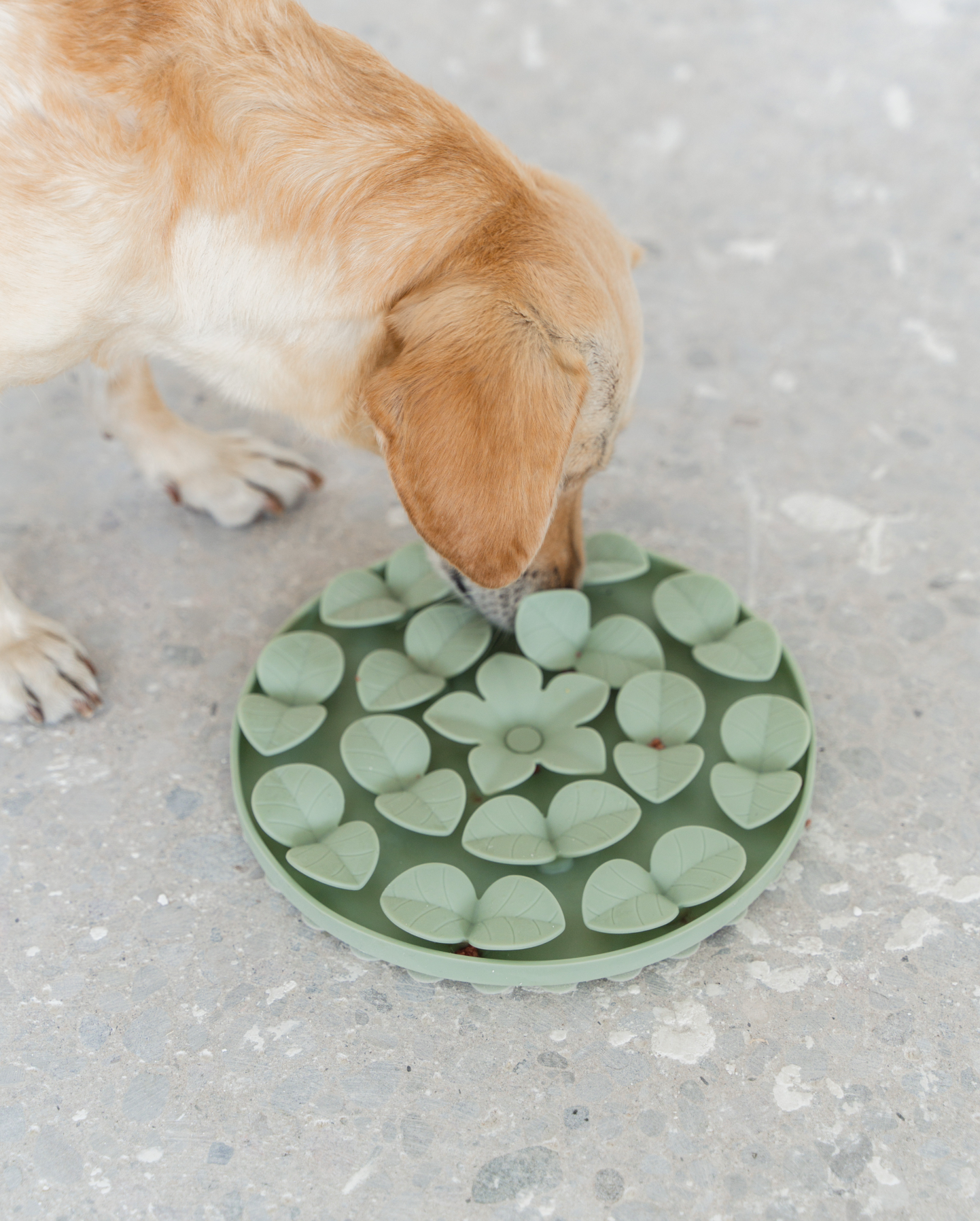 dexypaws - Wholesale Pet Food Mat - Dog - Sage Green Circle Enrichment Snuffle Mat4