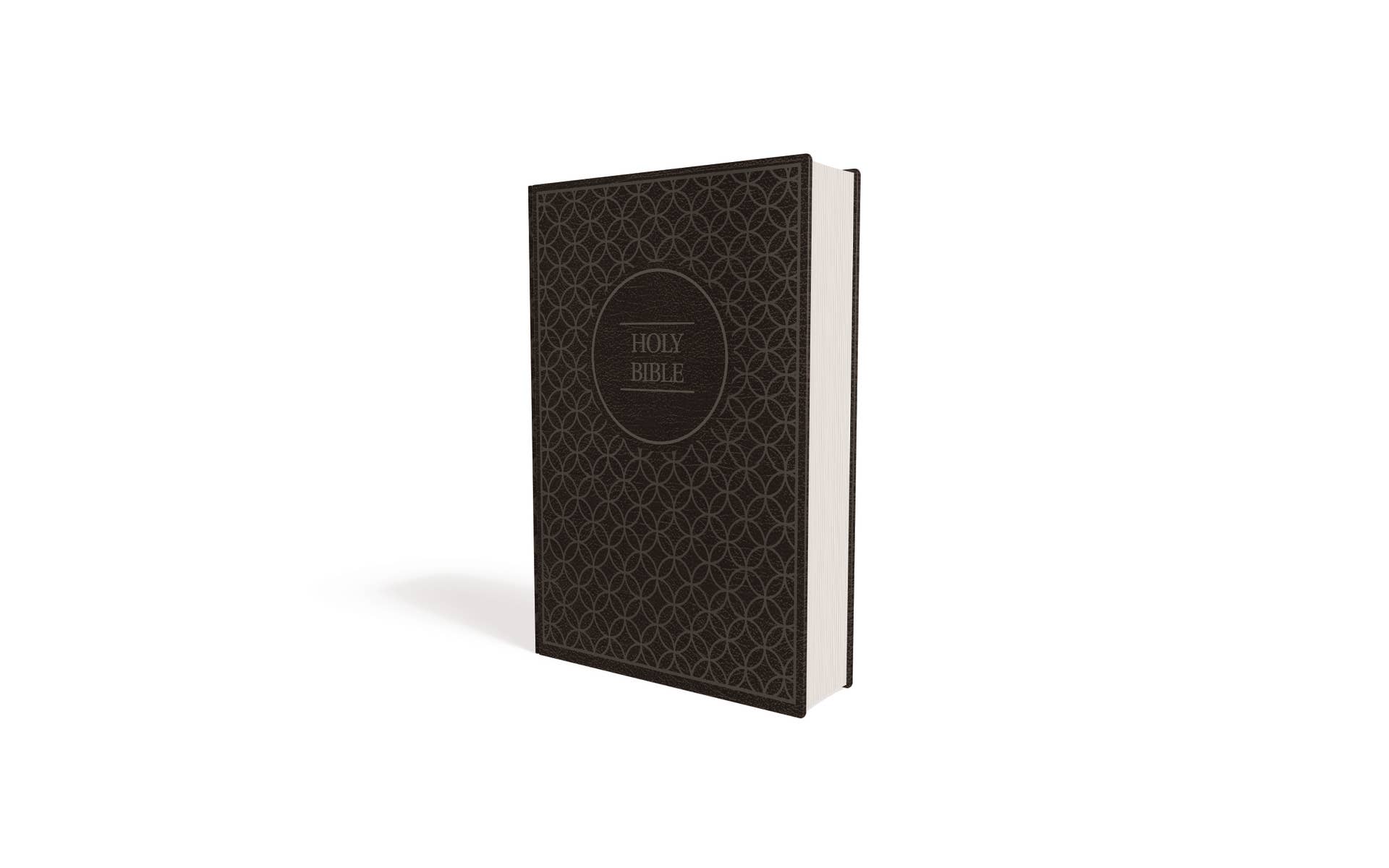 HarperCollins Christian Publishing - Wholesale Religion - NIV Value Thinline Bible Large Print Leathersoft Gray/Black6