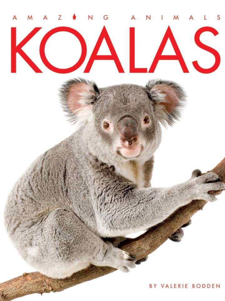 Amazing Animals: Koalas - 2009 Edition for wholesale by The Creative Company