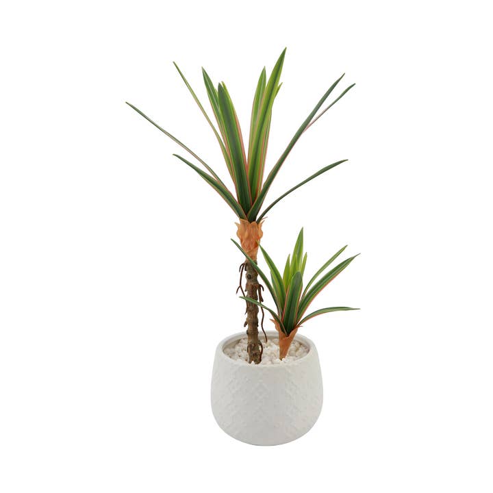 Flora Bunda Inc - Wholesale Artificial Plant - Real-Touch Yucca Plant Ceramic 5X5X3.750