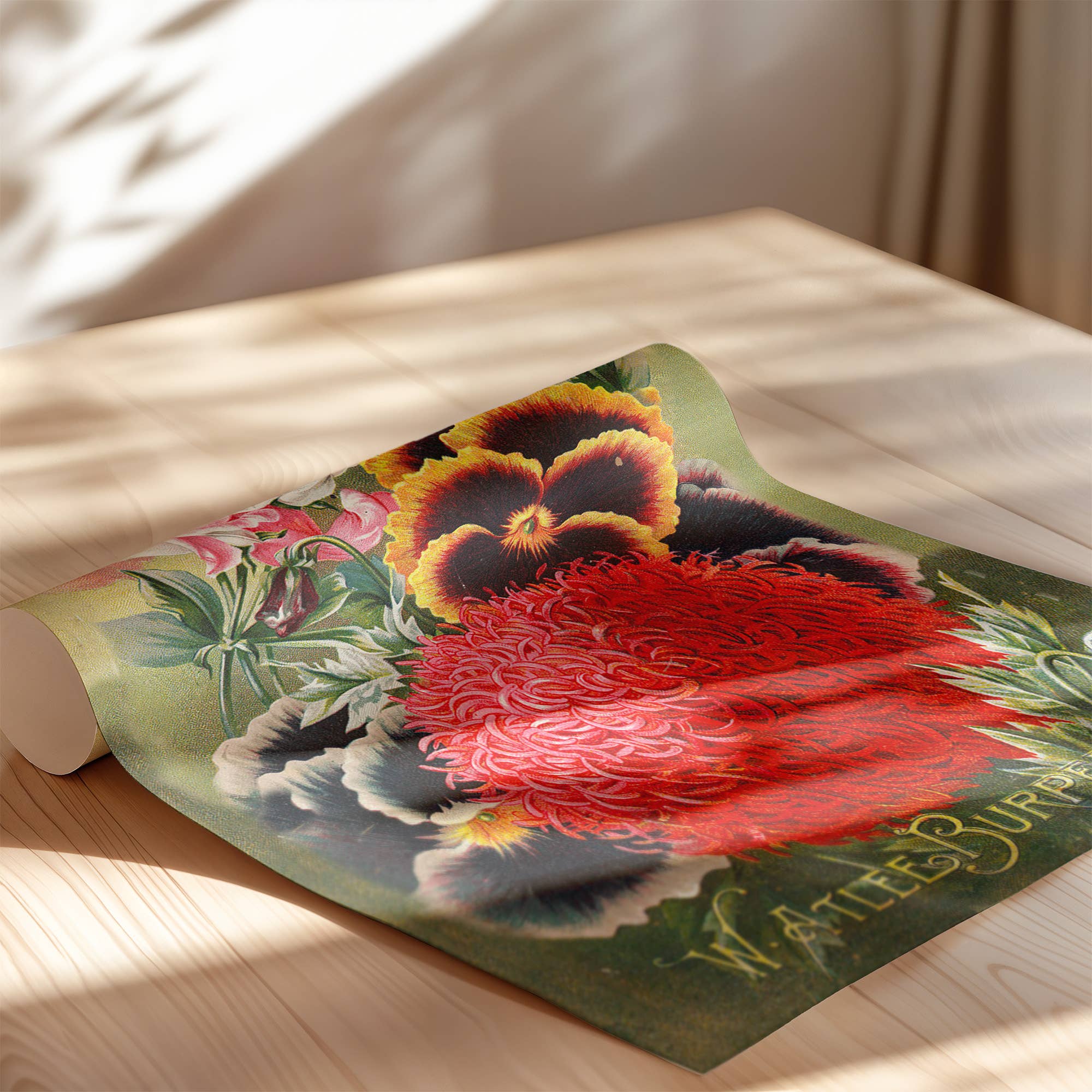 Swinford Designs - Wholesale Art Print - Vintage Seed Pack Art Print - Burpees Pansies Spring Decor3