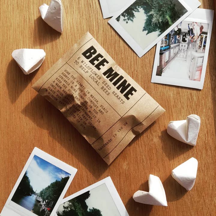 DSB Gifts – wholesale Party gift – Wildflower seed origami heart 'bee mine' envelope5