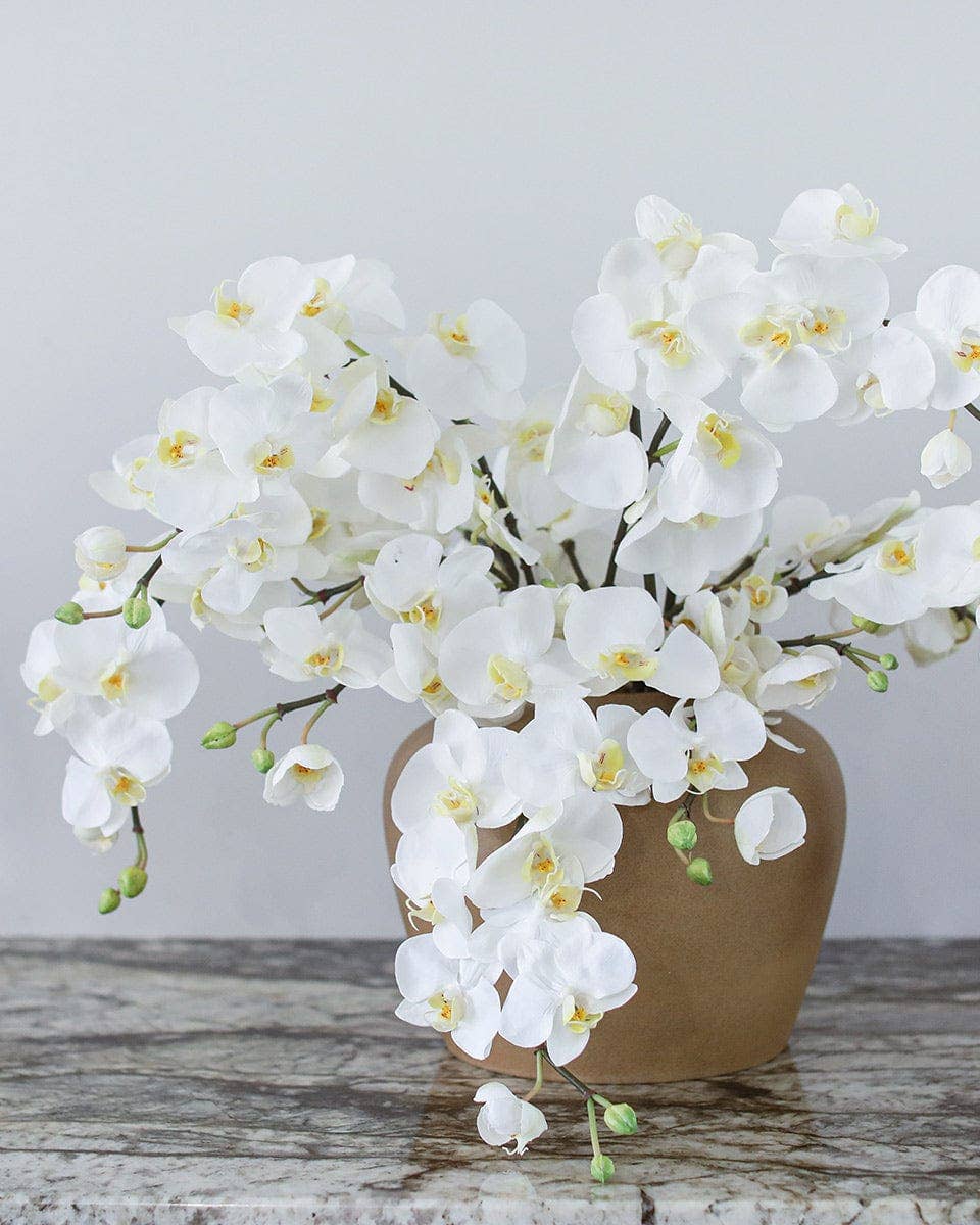 Prestige Botanicals - Wholesale Artificial flowers - White Flowering Phalaenopsis Orchid 34"2
