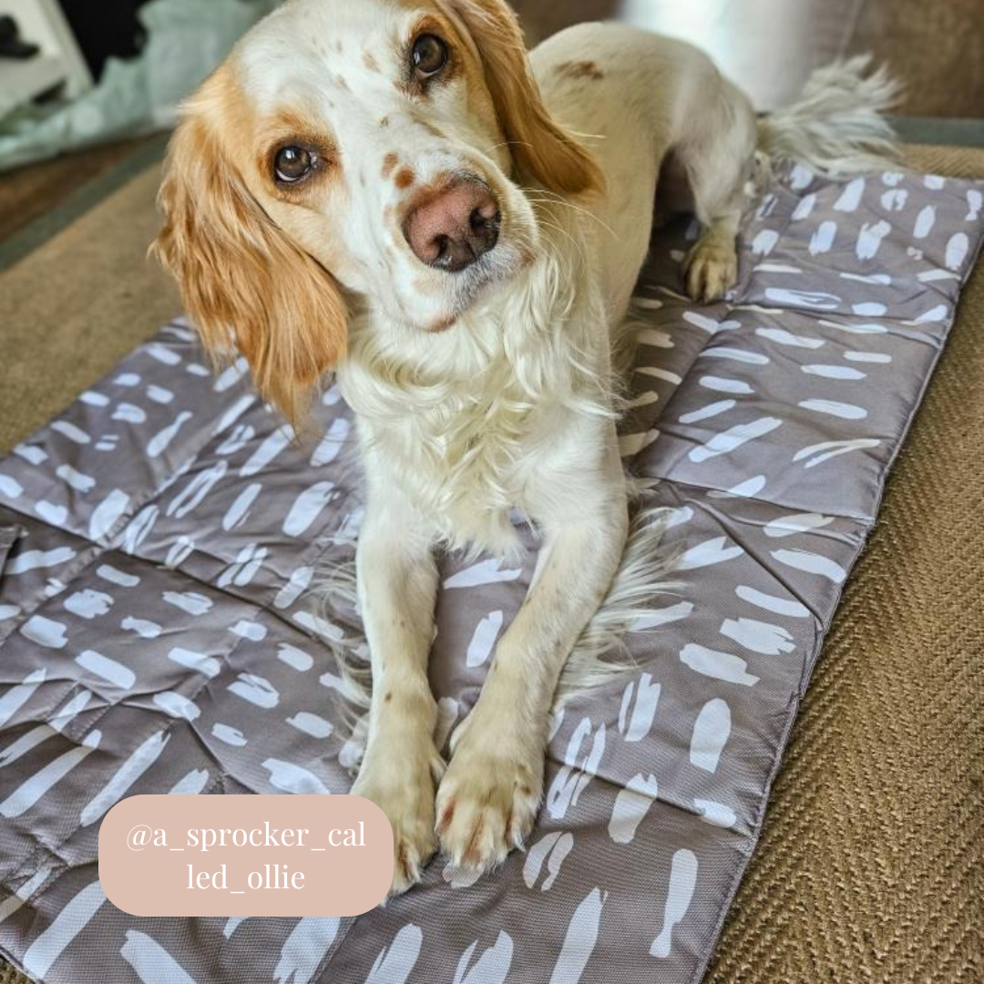 Bramble & Co - Venta al por mayor Esterilla - Perros - Alfombrilla de Viaje - La Neutralidad de los Sentimientos7