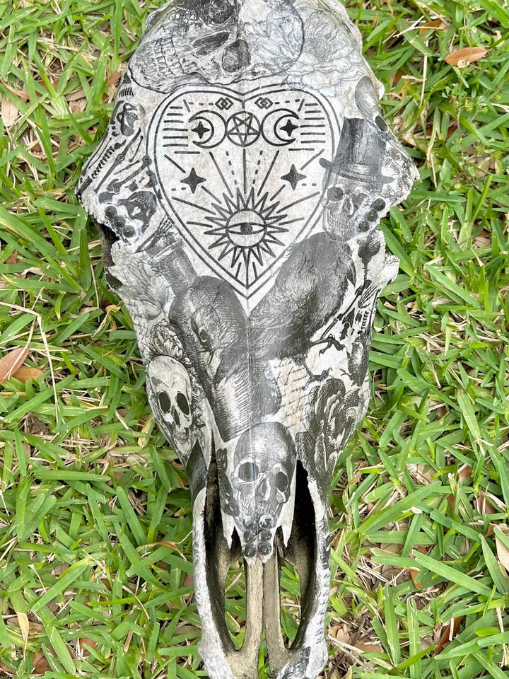 Large Cow Decopauge Skull for wholesale by Glass Mermaid Makings