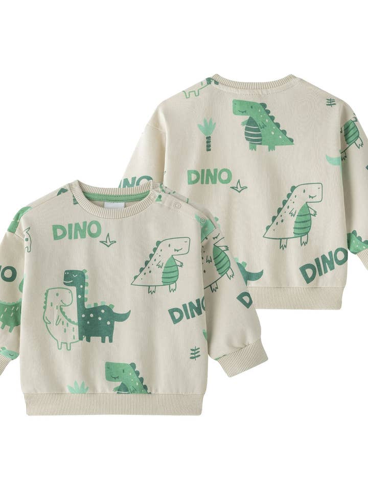 Unbrushed sweatshirt for baby boy BBI65001 for wholesale by Newness Kids