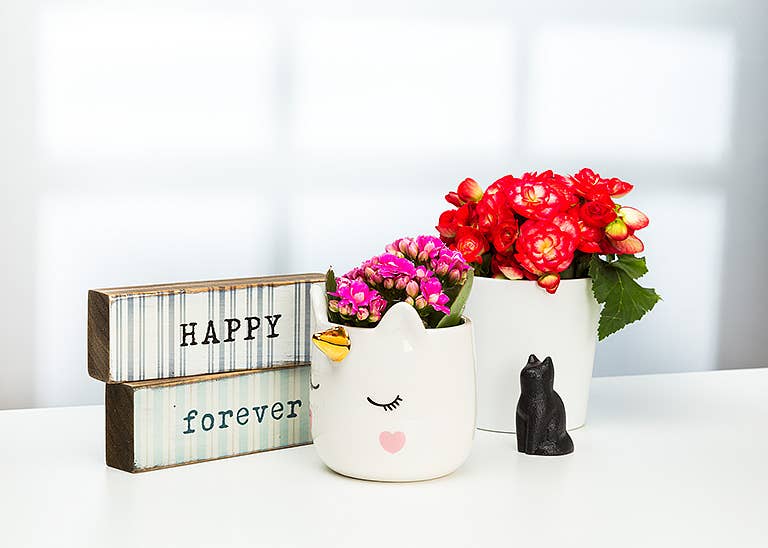 Abbott – wholesale Decorative figurine – Mini Simple Cats-3Asst-Blk-1-2" L4