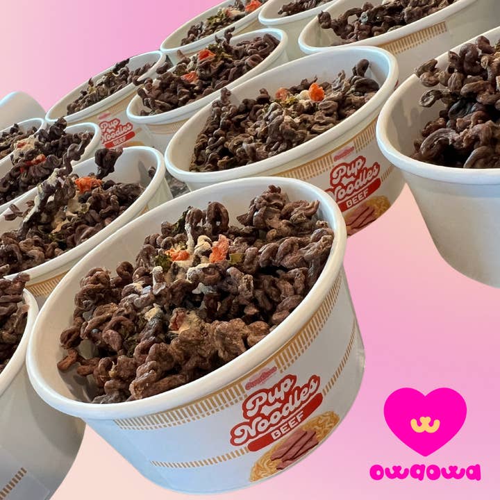 Owa Owa - Wholesale Pet Treats - Dog - Pup Noodles Beef- VIRAL cup noodles for dogs & cats