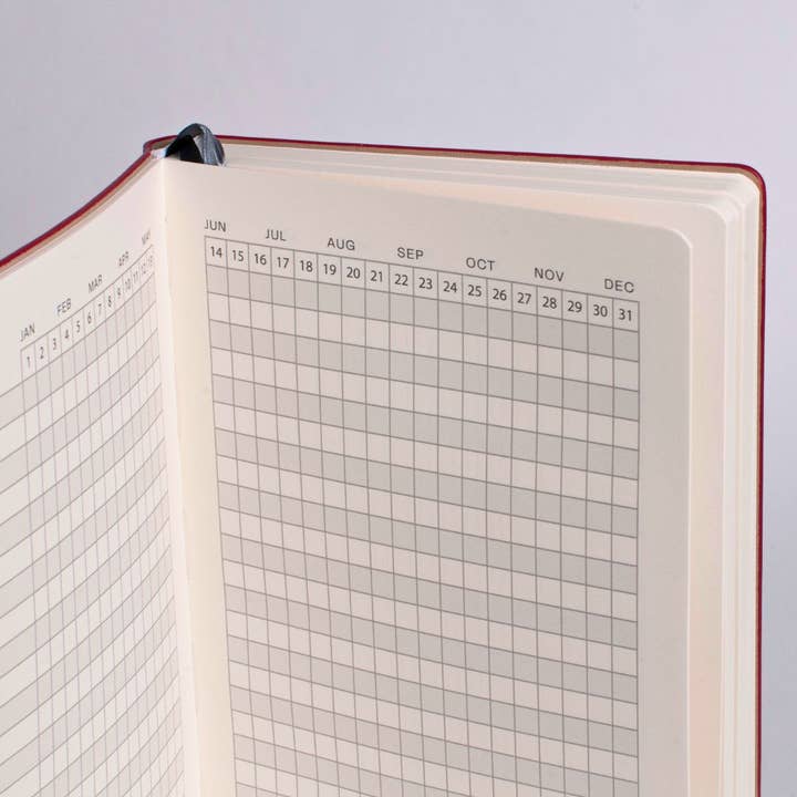 BEMO - Wholesale Journal/Diary - The BeMo Journal & Practice Guide | Built for Breakthroughs — Not Just Another Journal9