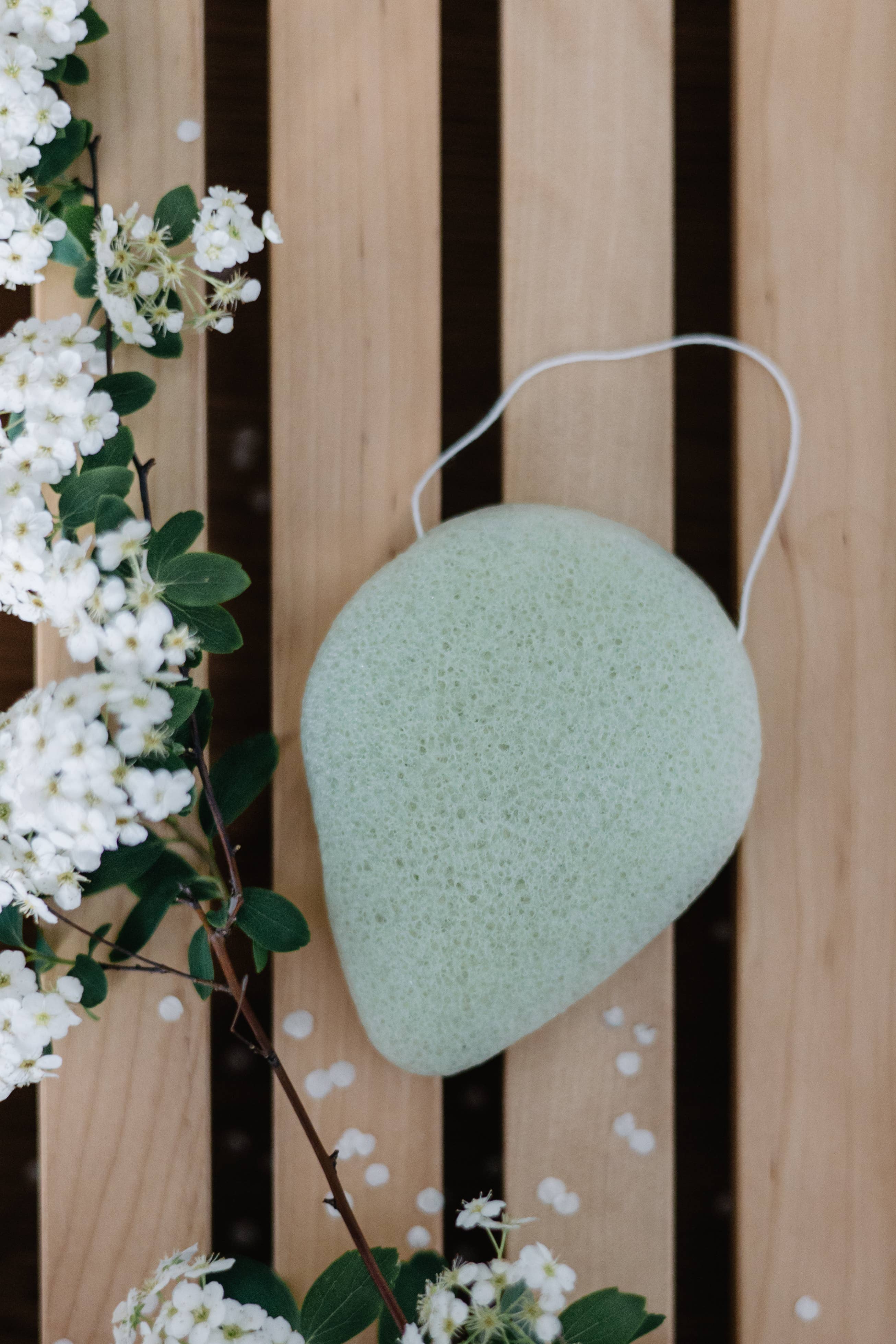Croll & Denecke - Wholesale Bath Pouf/Sponge - Konjac sponge green aloe vera for dry skin, vegan2