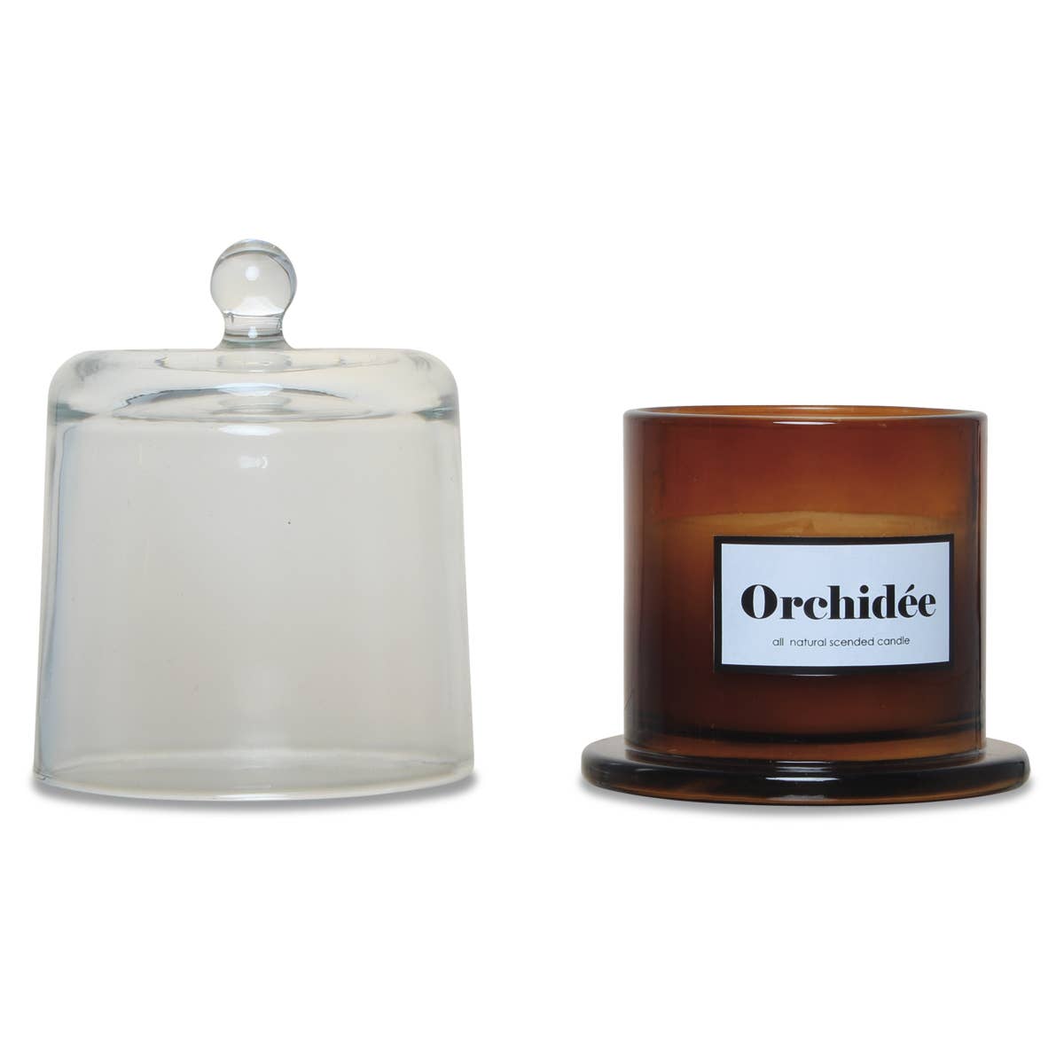 Âmbar Vela campânula Âmbar mini orquídea branca D8,5 H11,5cm para venda a revendedores na Faire1