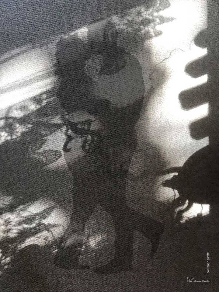 Love Shadow 1 for engroshandel hos bylindhardt