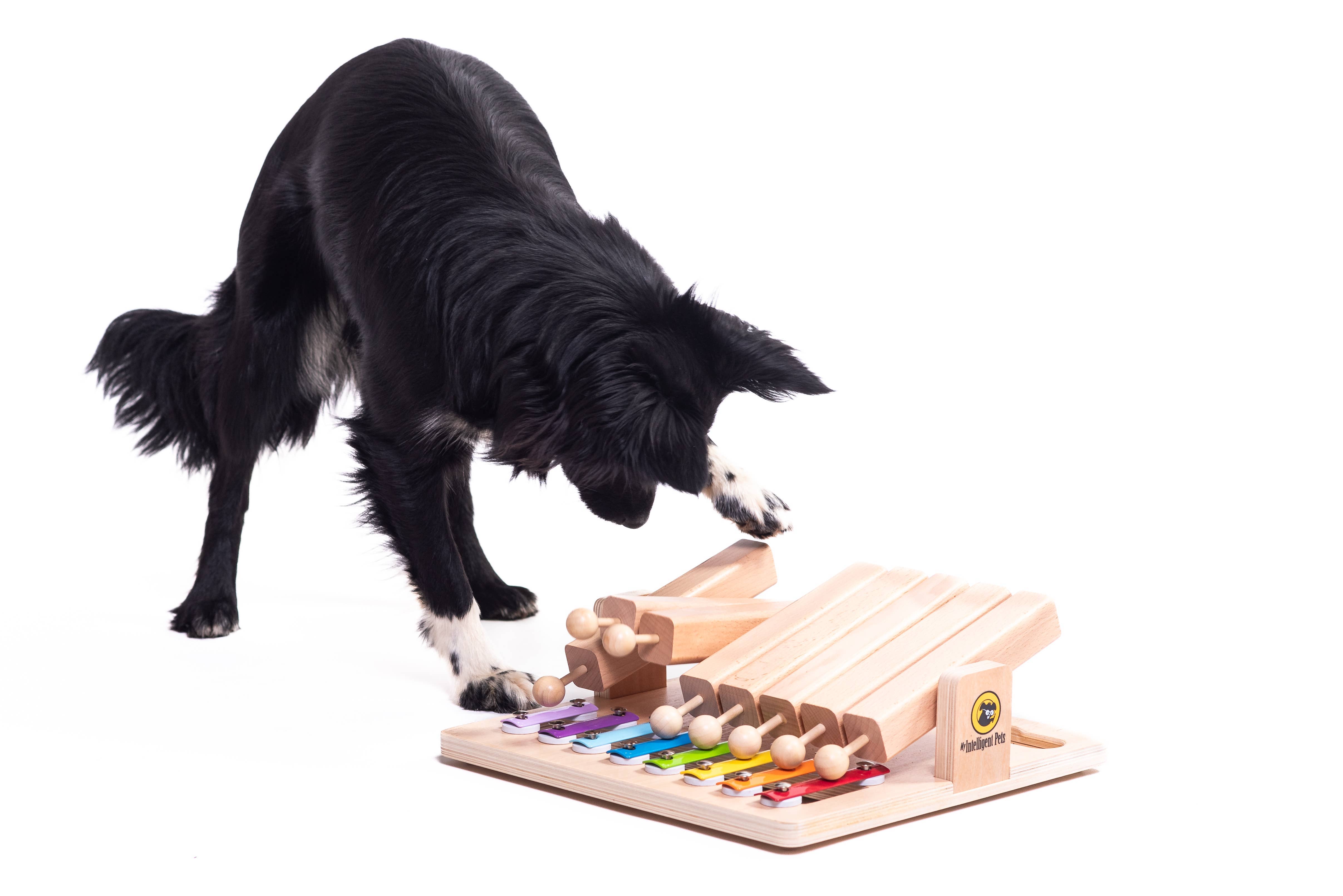 My Intelligent Dogs - Wholesale Pet Toy - Cat/Dog - Piano - Interactive Toy Product of the Year - enrichment toy1