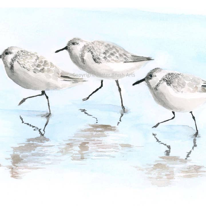 Impression d'art sur trois oiseaux de rivage pour la vente par Water Brush Arts