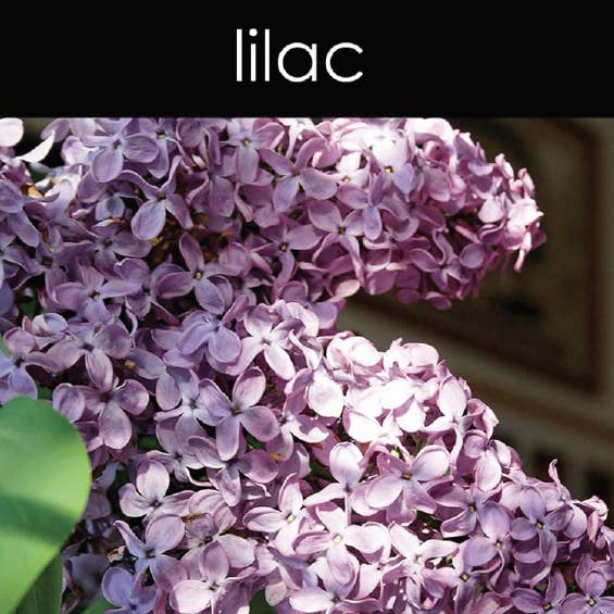 Lila geurolie voor wholesale door Candle Chemistry