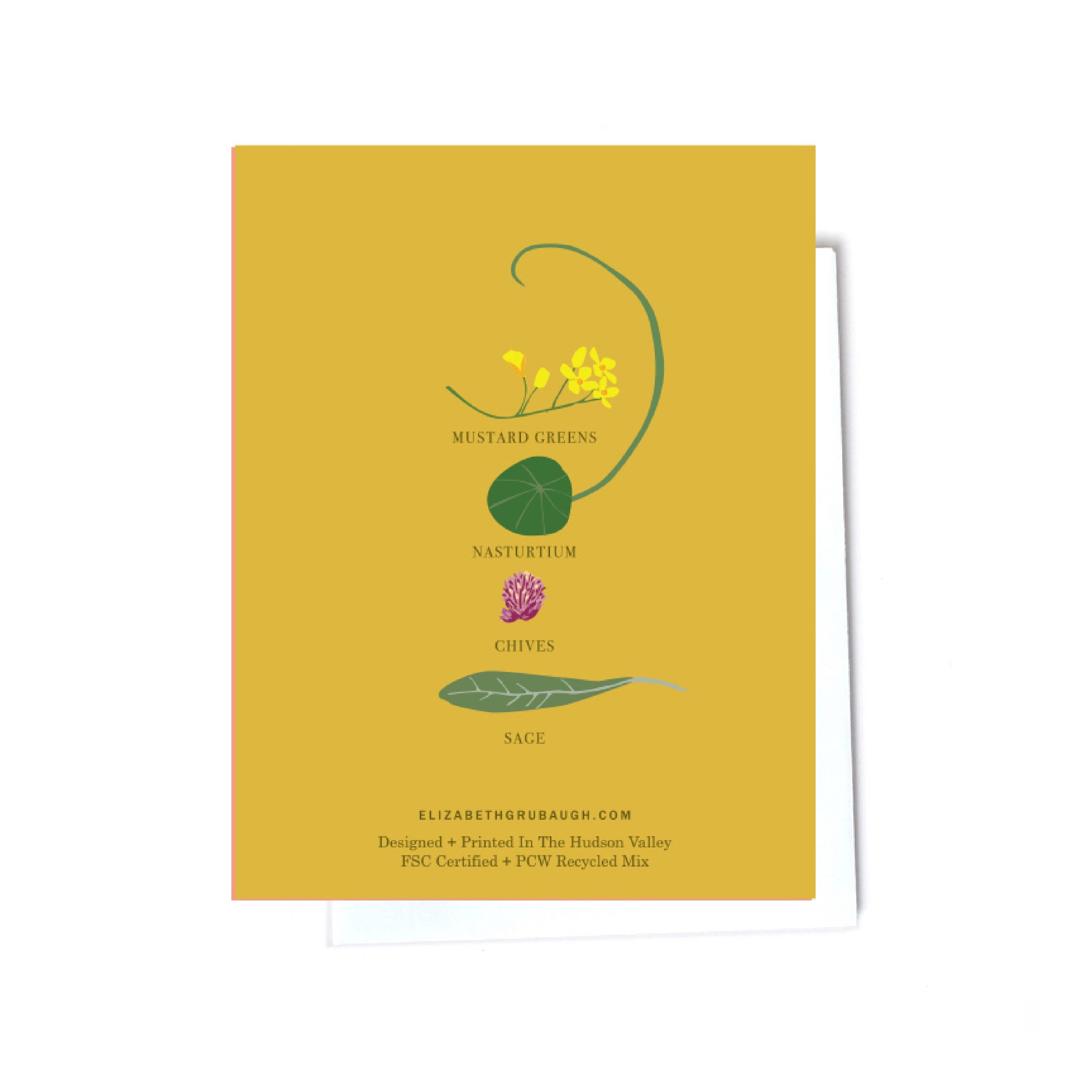 Elizabeth Grubaugh - Wholesale Stationery/Notecard Set - In The Garden Note Card Set4