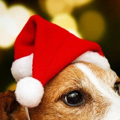 Red Plush Christmas Hat For Pet Dogs for wholesale on Faire0