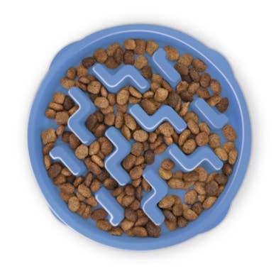 Pet Palette Distribution - Wholesale Pet Bowl - Cat/Dog - Outward Hound Fun Feeder Slo Bowl Dog Feeder Blue Small0