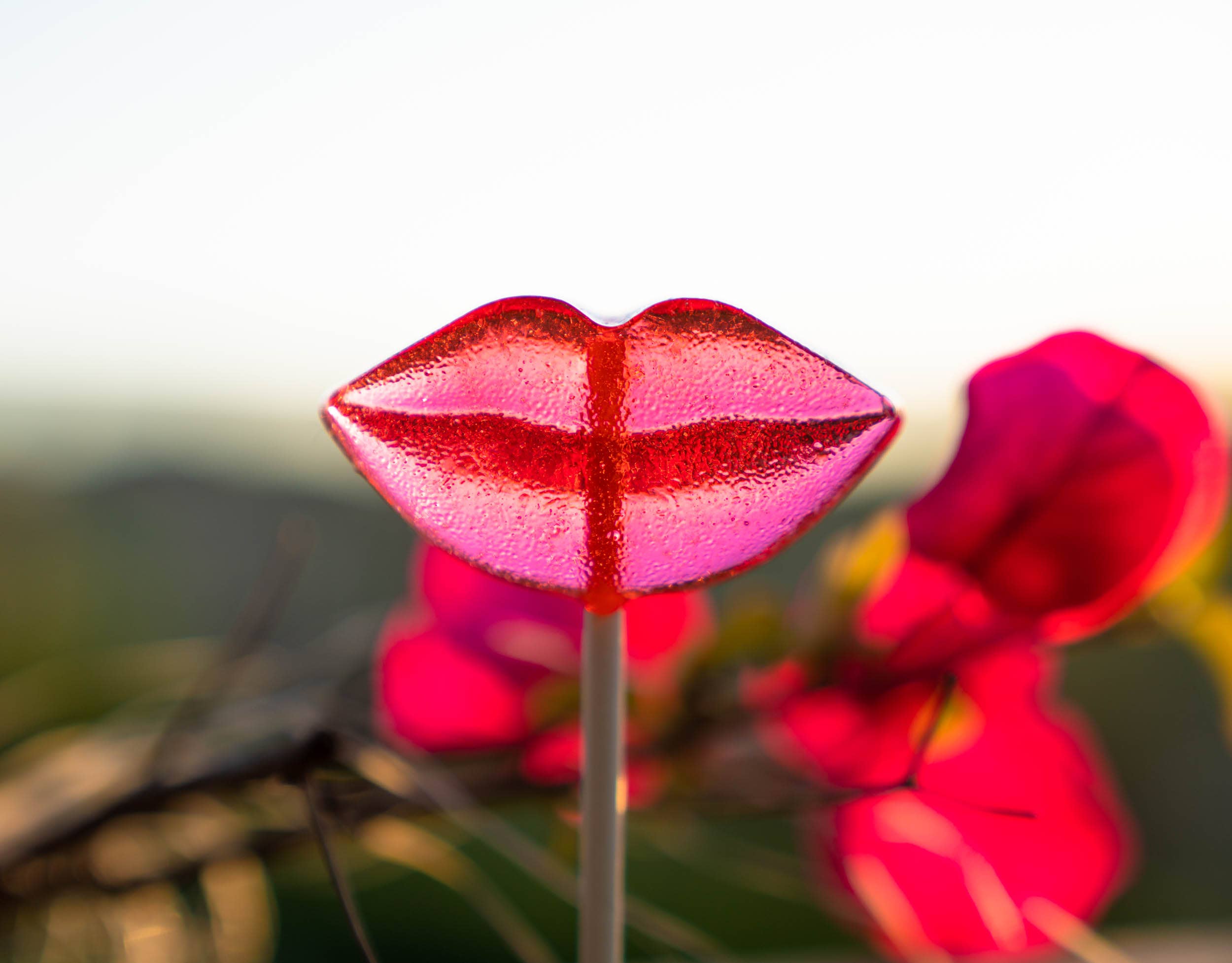 Sparko Sweets – Großhandel Lollis – Lip Lollipops - 2.5"3