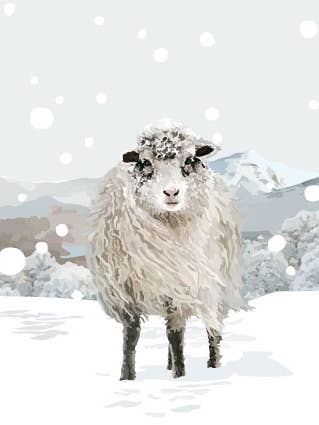 12C Ovejas y nieve/oveja/nieve/paisaje para venta al por mayor de Periodic Society