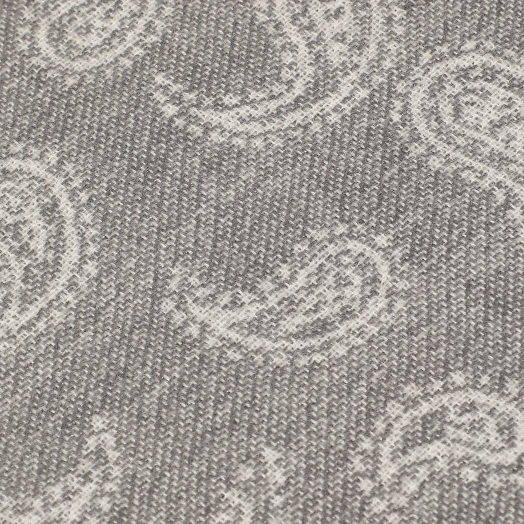 Fashion City - Wholesale Scarf – Women's - Cashmere Feel Soft Scarf with Paisley Design7