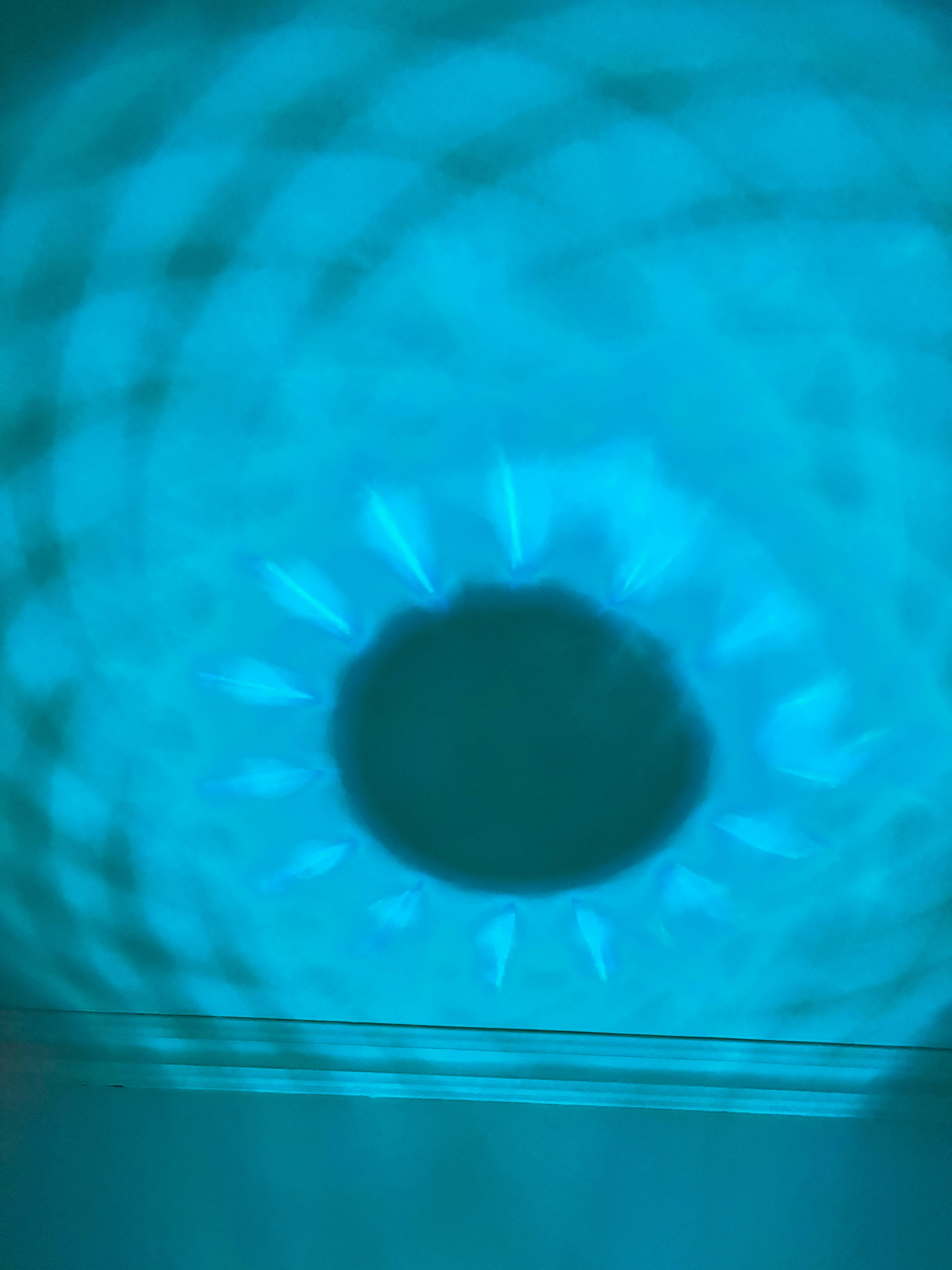 Luxarom - Wholesale Fragrance Warmer - LED-Elephant Fragrance Diffuser9