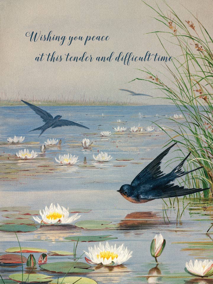 Augurandoti pace.. • Biglietto di auguri A-2 per la vendita all'ingrosso da parte di P. Flynn Design / Phun House
