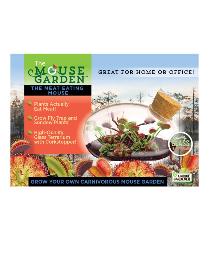 Terrarium en verre pour souris mangeuse de viande pour la vente par Silver Circle Products