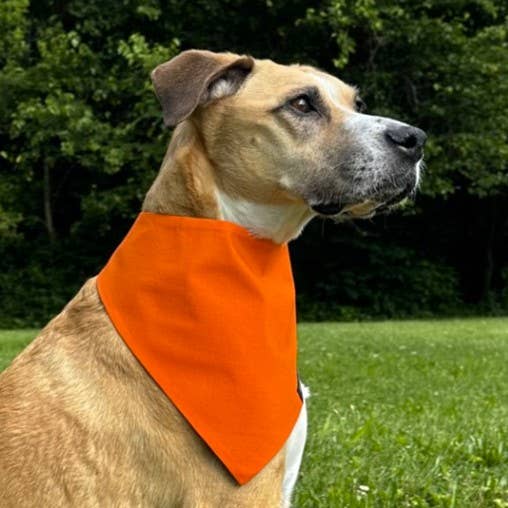 RUFFLECT Dog Bandanas - Wholesale Pet Bandana - Dog - Orange RUFFLECT®/Stunt Puppy Dog Bandana1