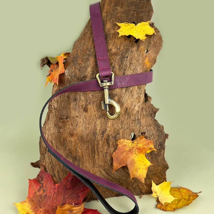 HugglePets - Vente Laisse – chien - Laisse pour chien HugglePets Legacy en cuir36