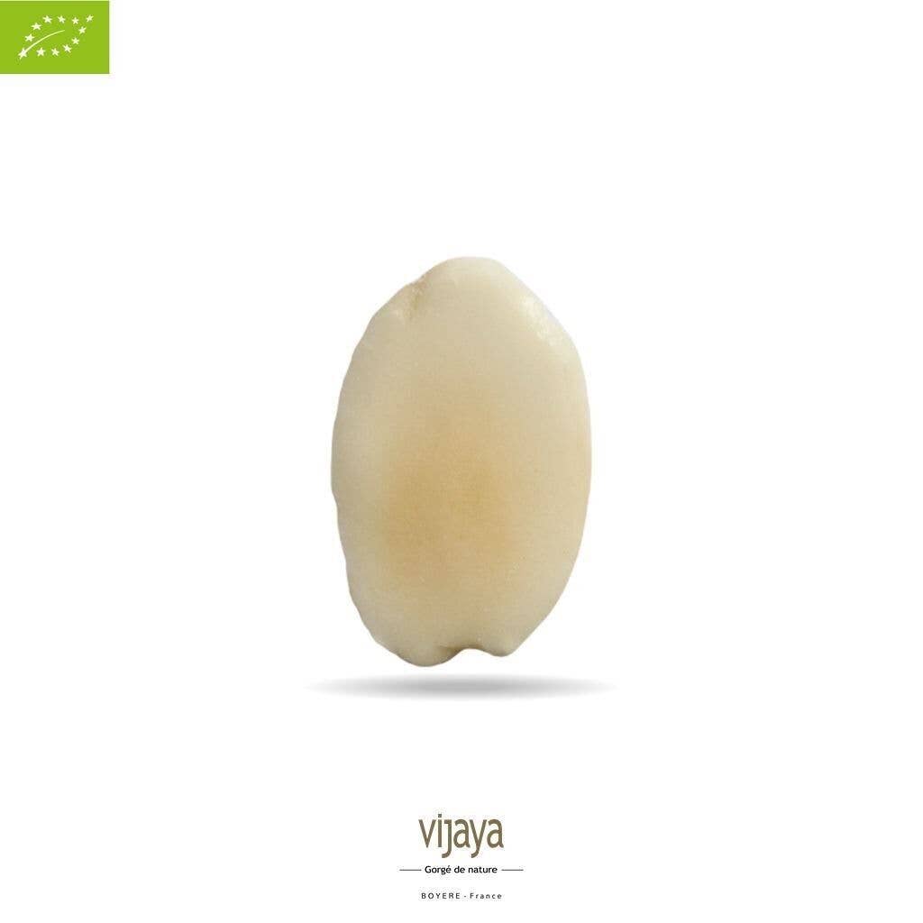 VIJAYA - SAS J.L. BOYERE - Vente Noix - Amande Effilée - ESPAGNE - 10 kg - Bio*1