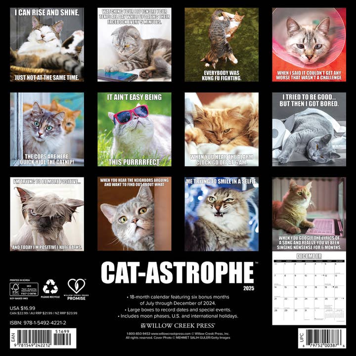 Willow Creek Press & Gifts - Wholesale Calendar - Cat-astrophe 2025 Wall Calendar