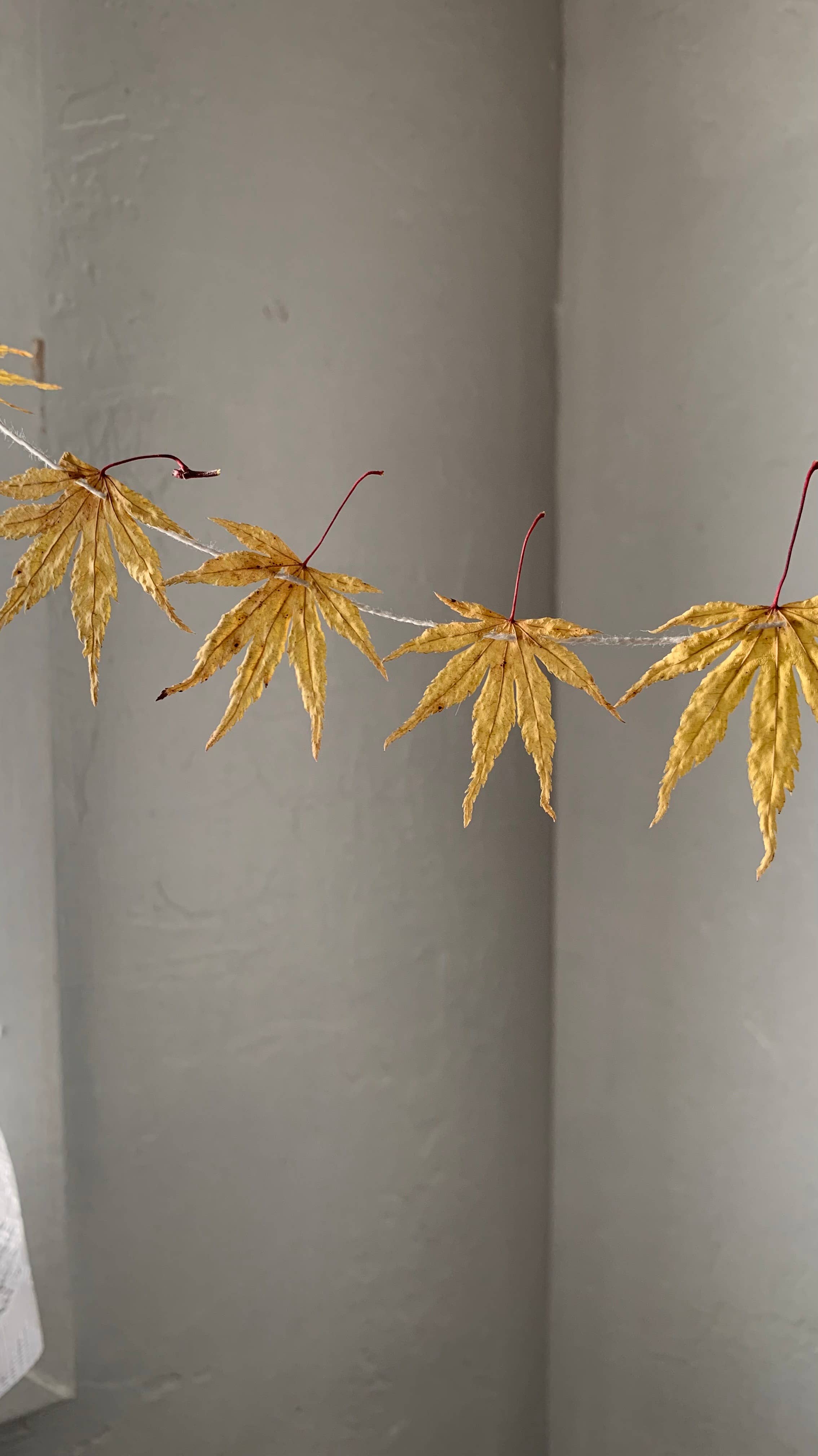 Twig and Snip - Wholesale Bunting/Garland - Dried Japanese Maple Leaf Garland GOLDEN- Natural Decor1