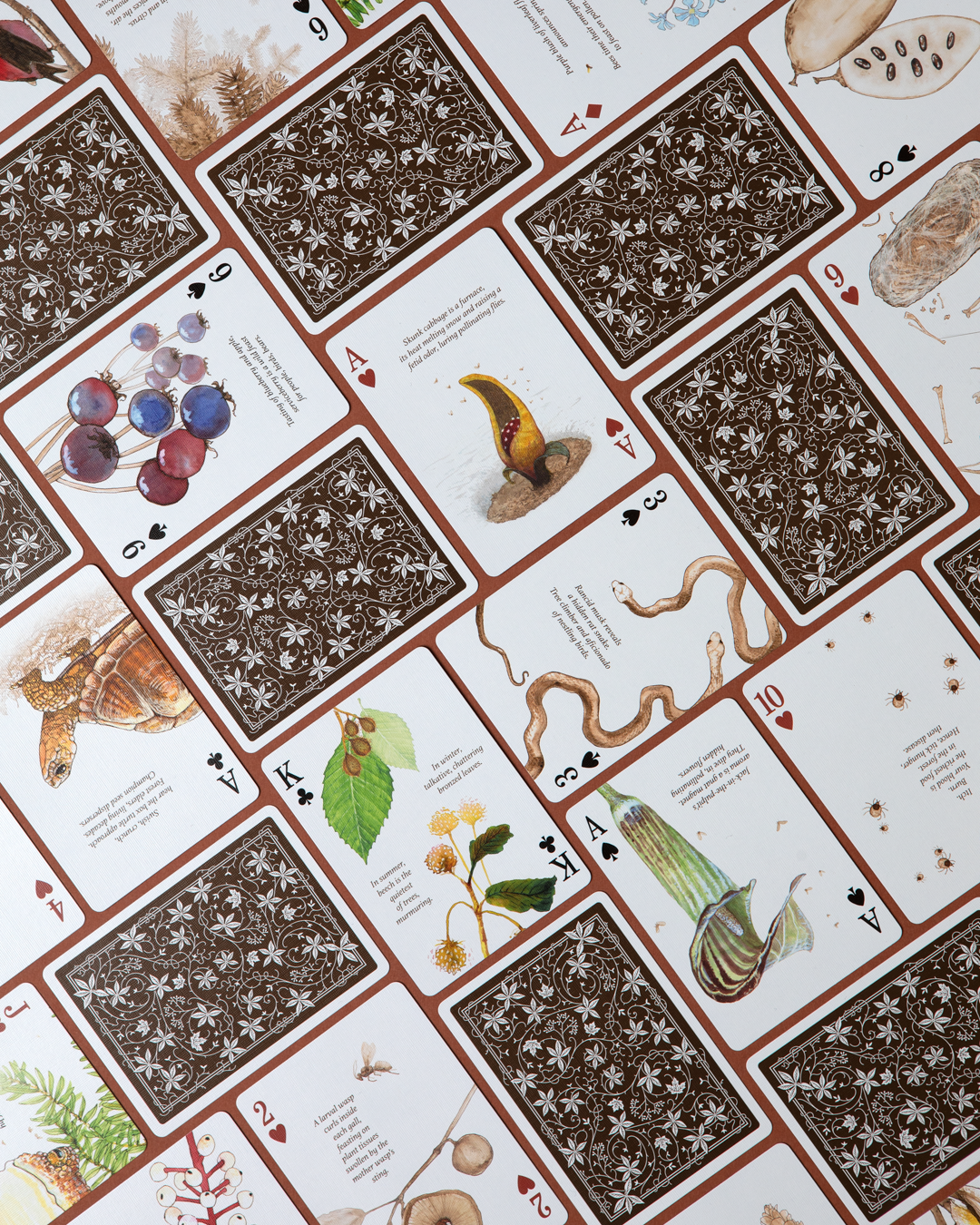 Art of Play - Vente Jeu de cartes - Cartes à jouer Eastern Forest6