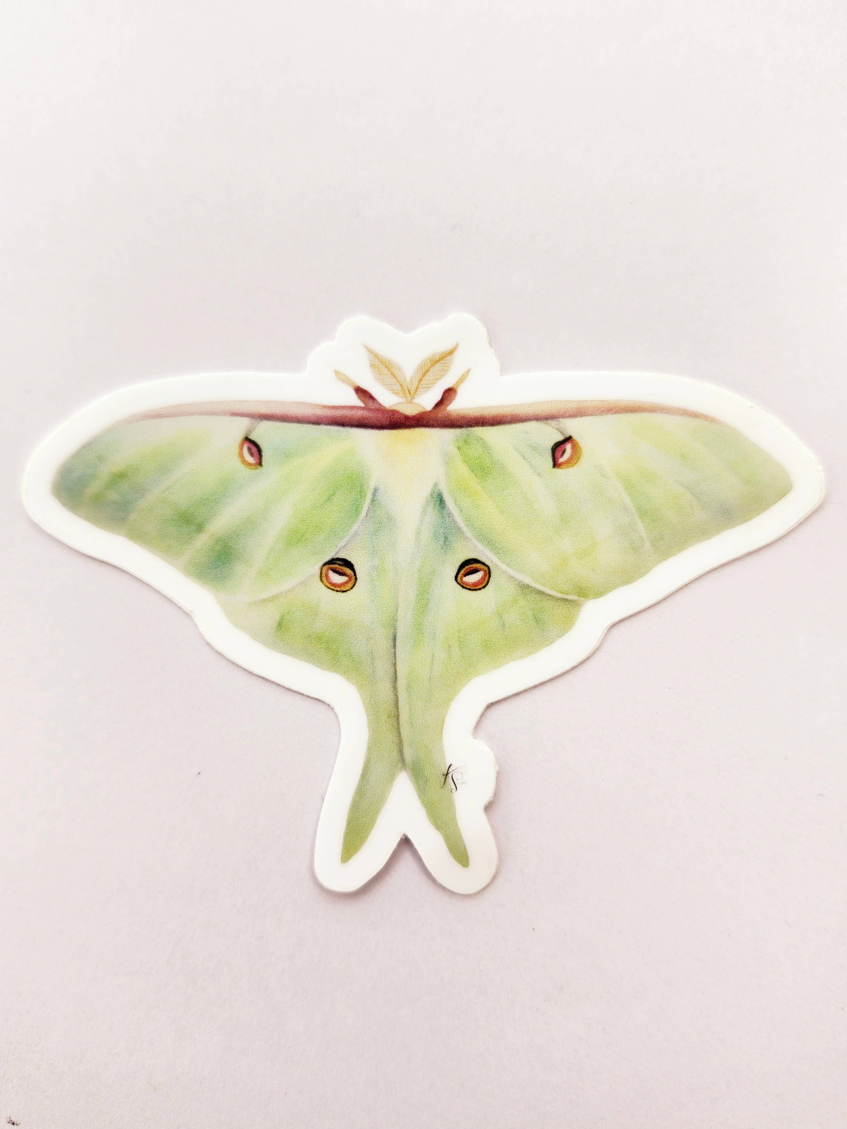 Redbriar Studio - Wholesale Sticker - Stickers7