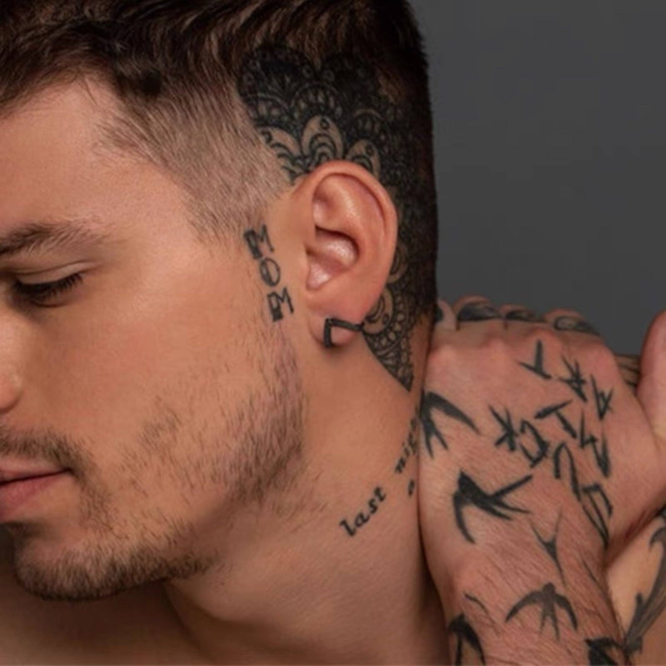 LanLivia - Wholesale Stud/Post Earrings - Unique design V shape ear studs-black n silver6