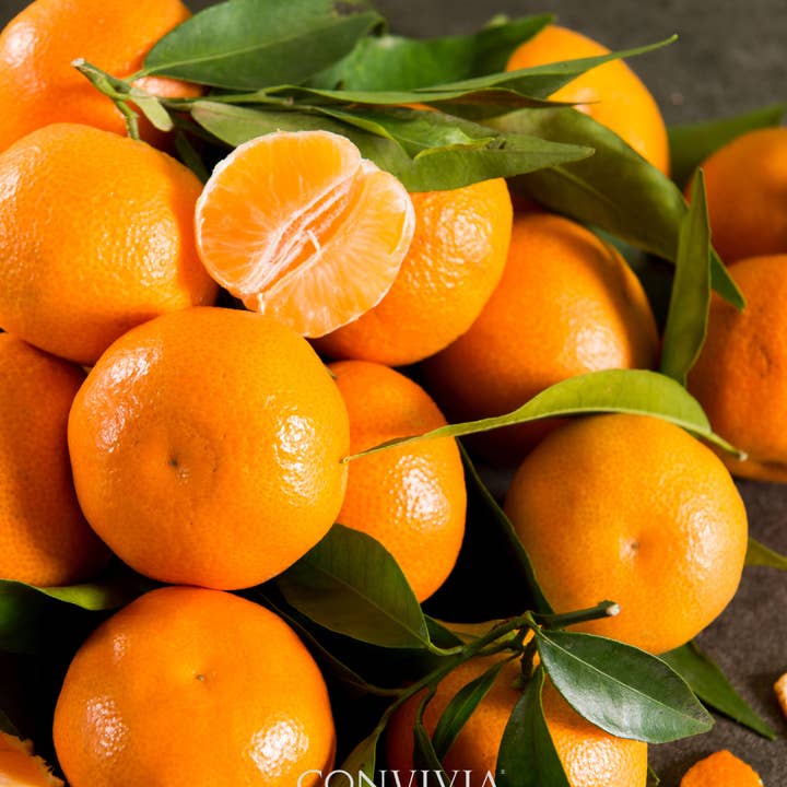 CONVIVIA for italian food lovers - Wholesale Jam/Jelly - Organic tangerine jam 360g5