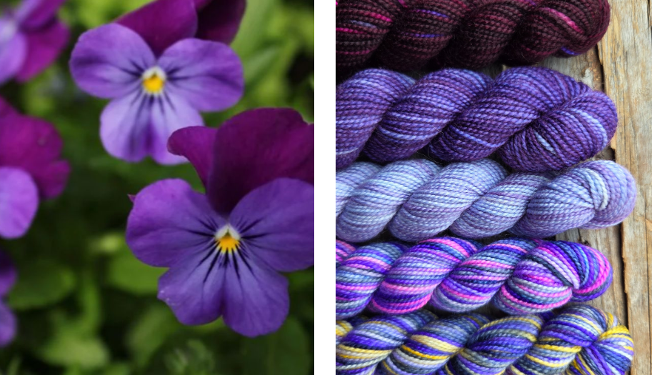 Koigu Wool Designs - Vente Fils à tricoter - Boîtes de Peinture de Fleurs Provinciales (ensembles de mini-écheveaux)19