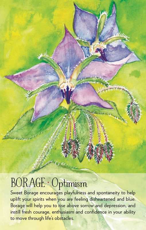 Simon & Schuster - Wholesale Tarot Cards - Soulflower Plant Spirit Oracle by Lisa Estabrook1