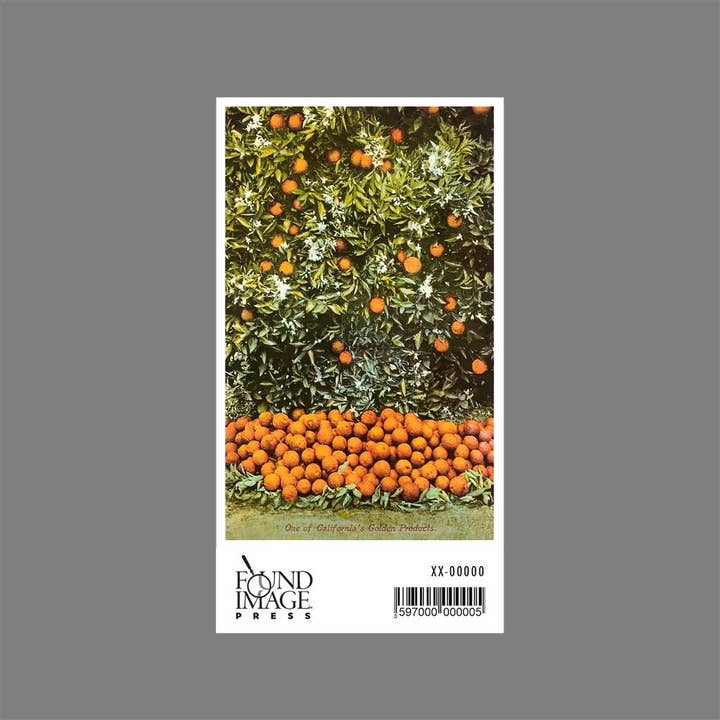 Found Image Press - Wholesale Sticker - Sticker CA-120 Orange Grove1