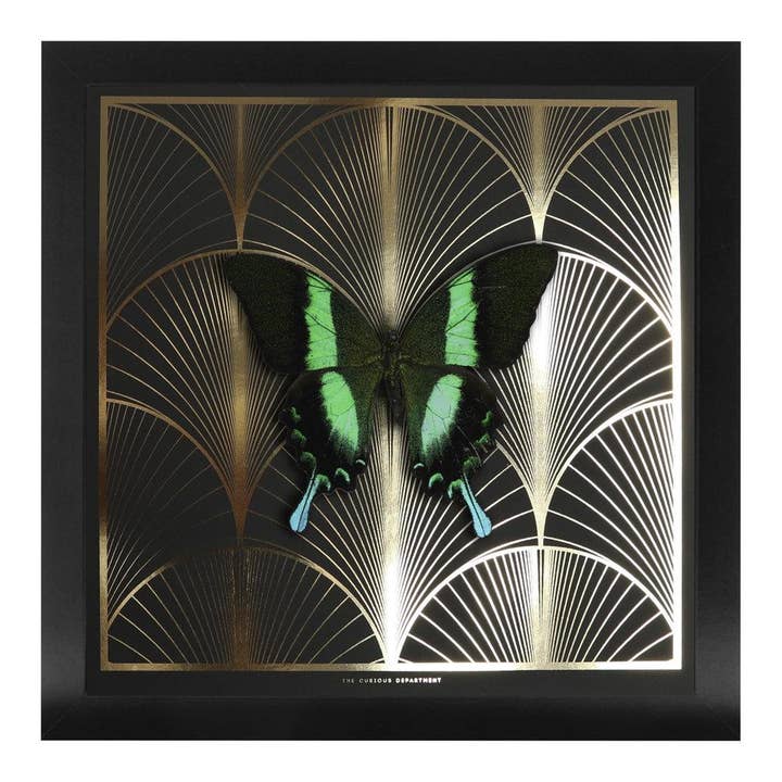 DECO FAN Grøn Svalehale: guld/sort for engroshandel hos The Curious Department