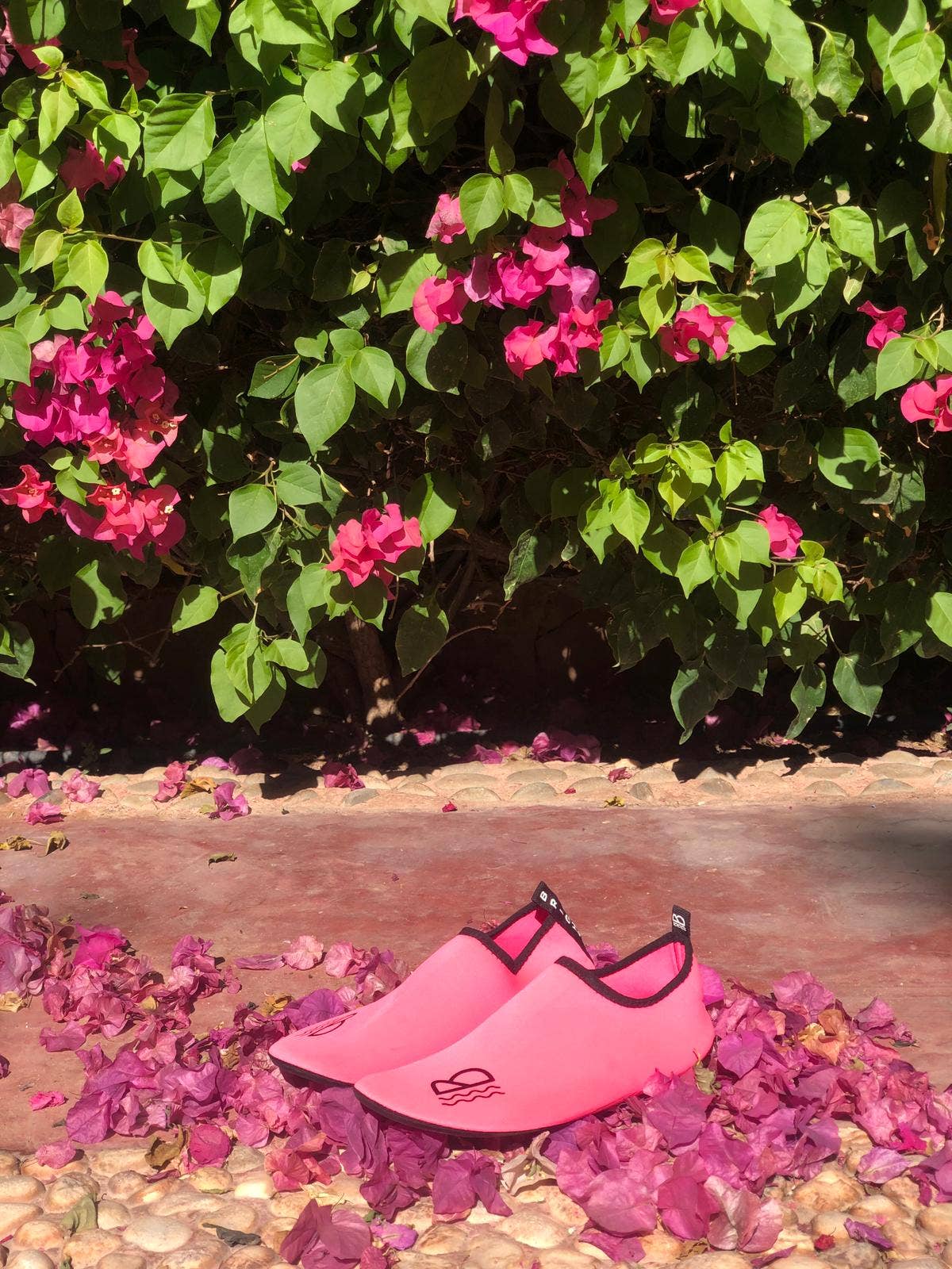 Brighton Water Shoes – wholesale Water shoes – Women's – Palace Pier Pink Water Shoes24