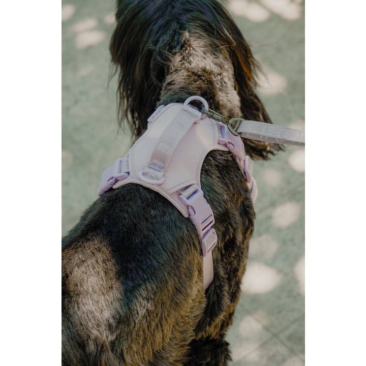 PEHOM - Wholesale Tuig voor huisdieren - Hond - PEHOM Geen-trek hondenharnas – mintgroen en paars8