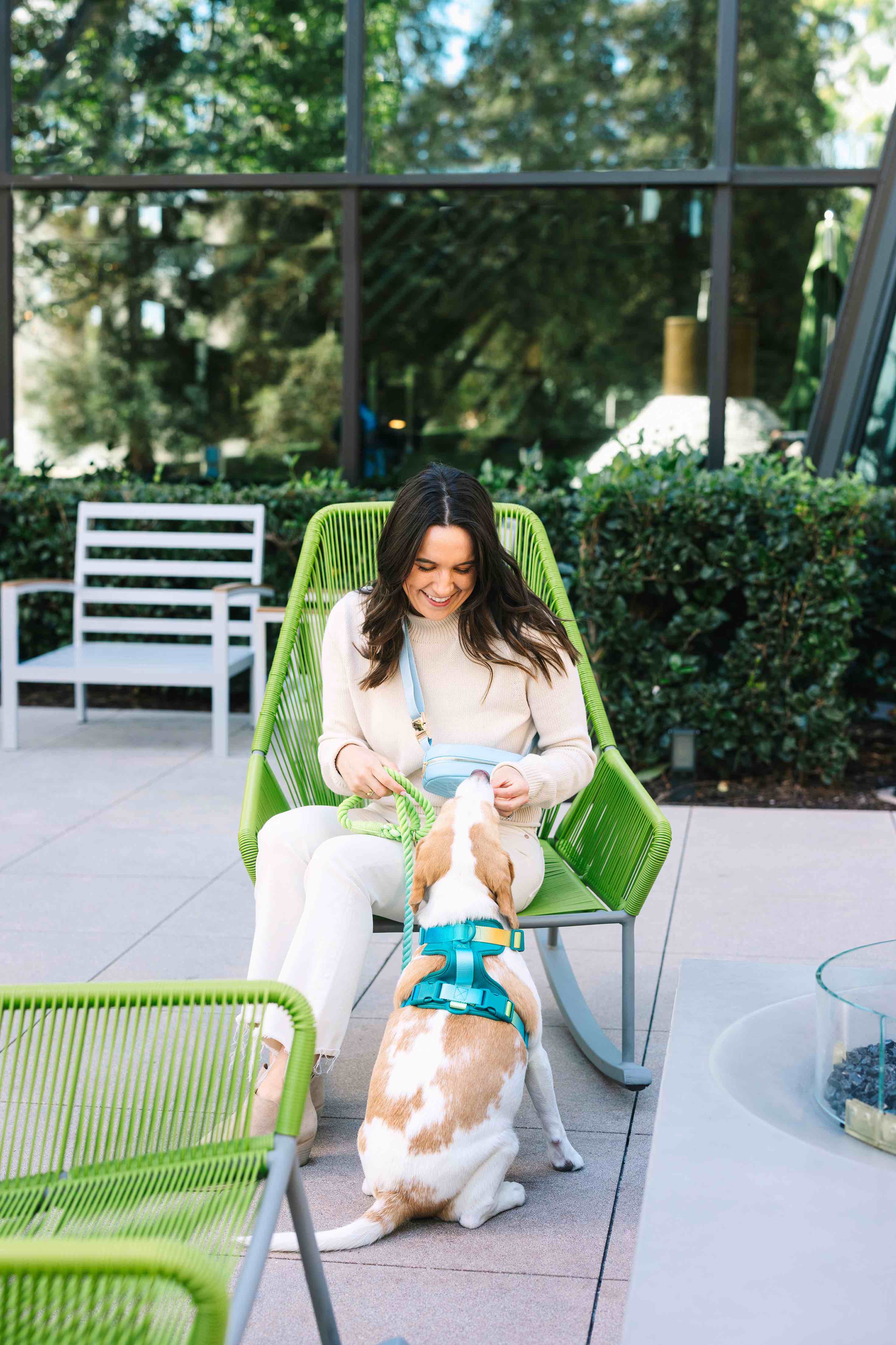 Pink Papyrus | Premium, Durable, & Stylish Dog Products - Wholesale Pet Harness - Dog - Joey Dog Harness | No Pull Harness | Teal Dog Harness6