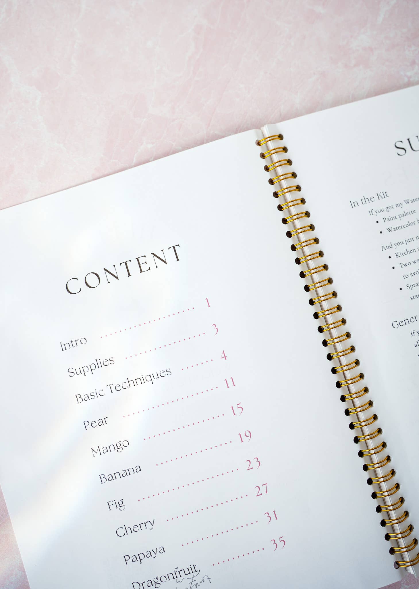 Jean Choe Art & Design - Wholesale Sketchbook/Sketchpad - Fruit Watercolor Workbook: Outlined Coloring Pages to Paint8