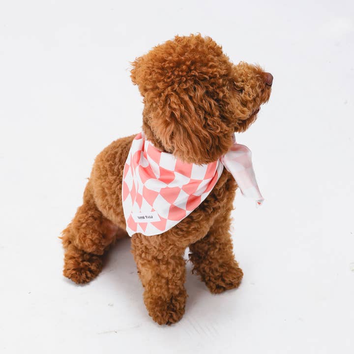 Perziken Hond Bandana voor wholesale door Both Tails