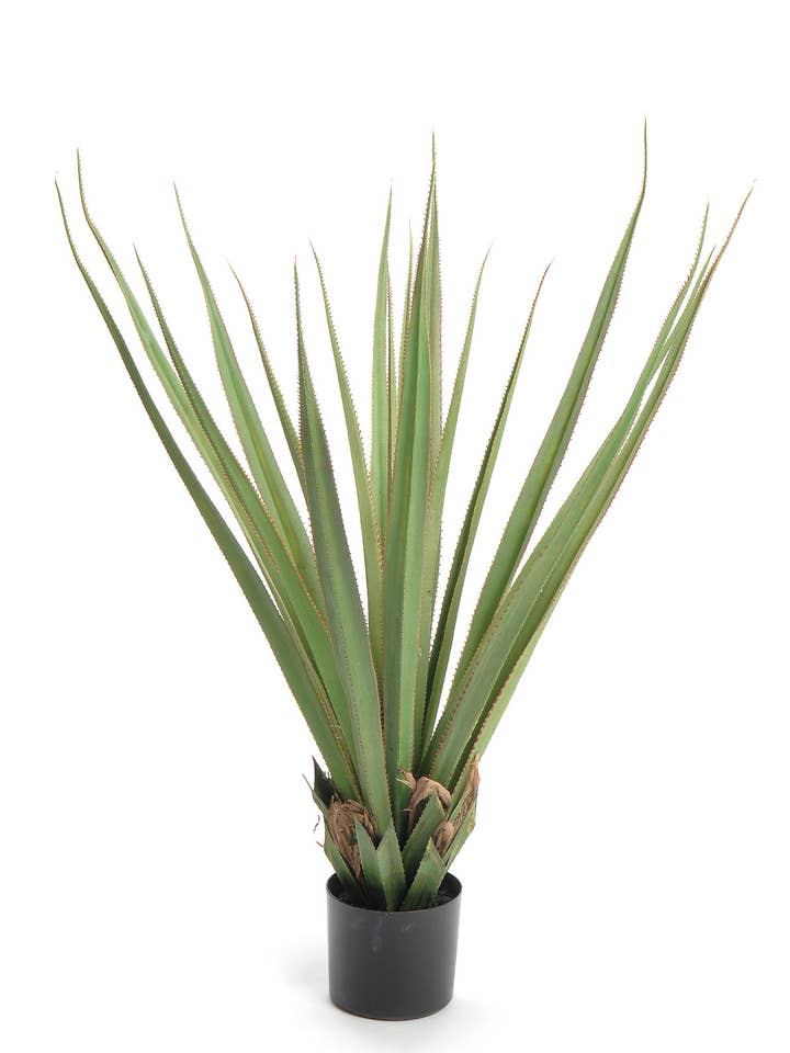 45" PANDANUS MET POT voor wholesale door Studio Specialties