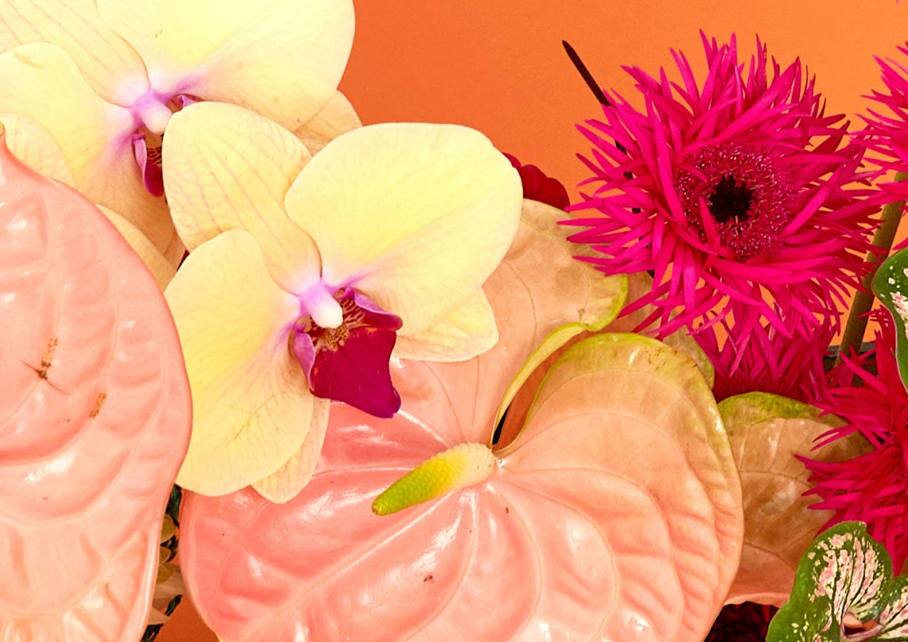 Bare Mum - Vente Coffrets cadeaux - Emballage cadeau4